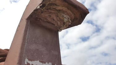 Dryer roof vent clogged with lint in Cape Coral