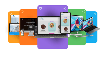 web design colors