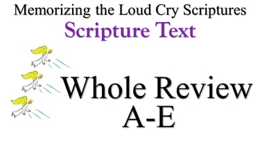 A-E Scripture Text Whole Review