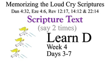 Learn D (Days 3-7)