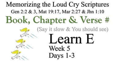 Learn E (Days 1-3)