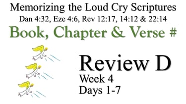 Review D (Days 1-7)