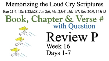 Review P (Days 1-7) with Q