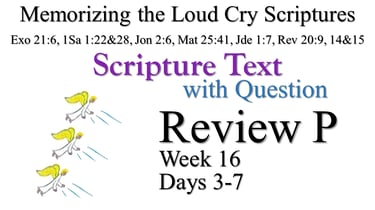 Review P (Days 3-7) with Q