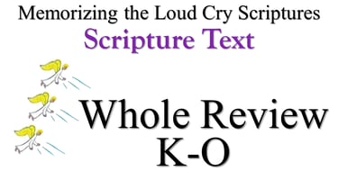 K-O Scripture Text Whole Review