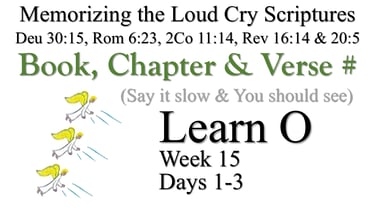 Learn O (Days 1-3)