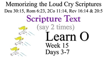 2x Learn O (Days 3-7)