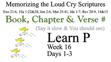 Learn P (Days 1-3)