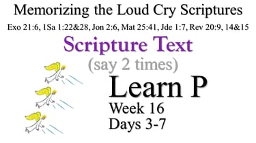 2x Learn P (Days 3-7)