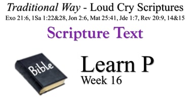 P Learn