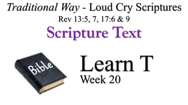 T Learn