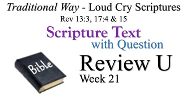 U Review ST wQ