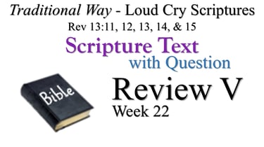 V Review ST wQ