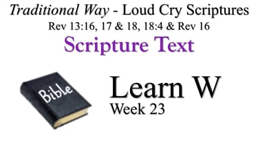 W Learn