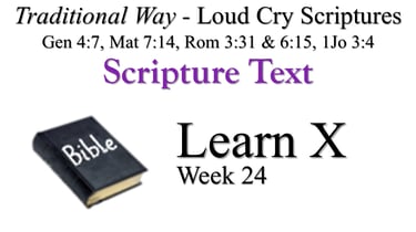 X Learn
