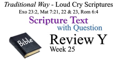 Y Review ST wQ