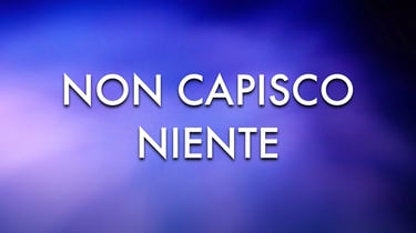Non Capisco Niente