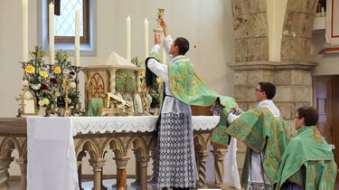 Fraternidad Sacerdotal de San Pío X