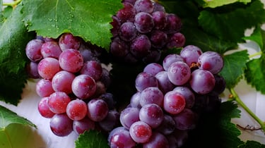 a bunch of grapes are shown on a table