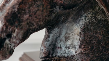 Bernarda Kovačič, Konjska glava detajl