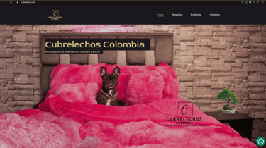 páginas web completas en pereira