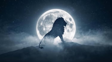 Full Moon in Leo | February 1, 2026