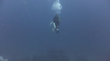 Diving on Havelock and Neil Islands, Andaman and Nicobar Islands