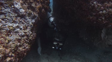 Diving on Havelock and Neil Islands, Andaman and Nicobar Islands