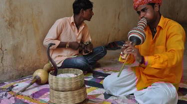 snake charmer at Amber Fort, or Amer palace, Jaipur, Rajasthan, India