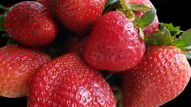 Strawberries