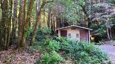 redwood national park, redwoods, a small cabin in the woods