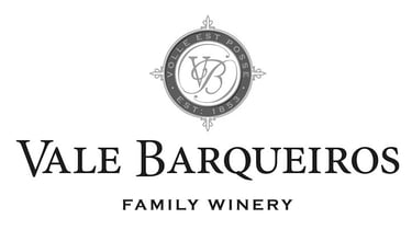 vale barqueiros logo