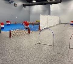 Dog Training Facilities, Dog Training Classes