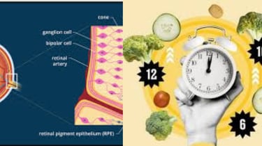 retinitis pigmentosa fasting   