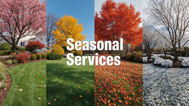Seasonal yard scene with title Seasonal Services