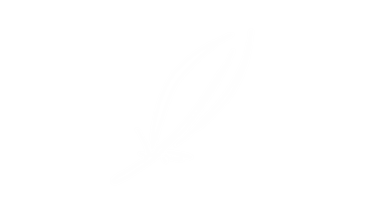 Logo feather plumatech