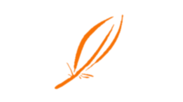 Logo plume plumatech