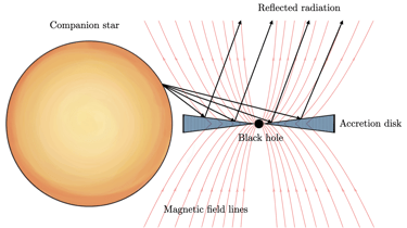 Schematic illustration of the scattering of stellar light in X-ray binaries (Kravtsov et al. 2024).