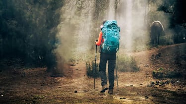 Female hiker with a blue backpack and trekking poles walking through a misty forest trail.