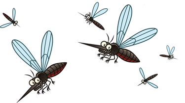 Mosquito Control Services