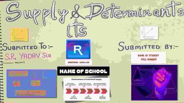 Economics project on supply