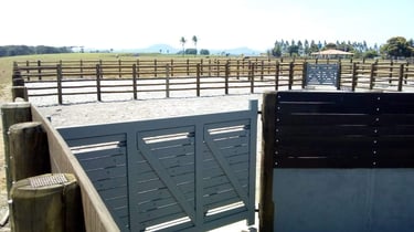 Porteira e cerca de eucalipto tratado para curral - imader