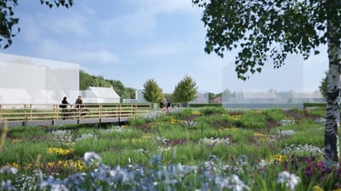 Vue d’un espace naturel aménagé dans le lotissement Domaine du Parc à Belbeuf près de Rouen