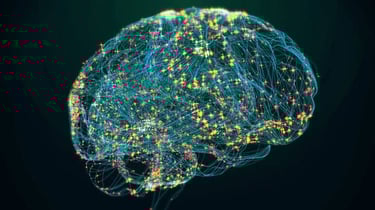 a brain map of a brain scanplant