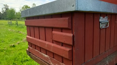 pet-safe outdoor paint that protects your wood and respects bees or your furry friends