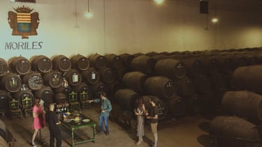 Un grupo de amigos visitan una bodega  y disfrutan de una cata maridaje de vinos de Montilla Moriles