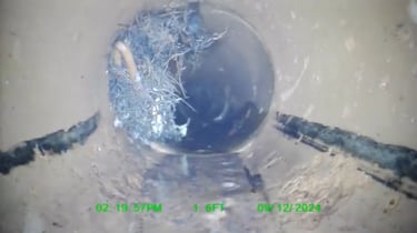 Example of a sewer that needs cleaned
