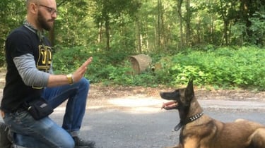 Bouton pour aller sur le service éducation canine