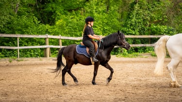a girl riding a horse in a fenced in area