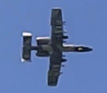 Mike D A-10 Warthog